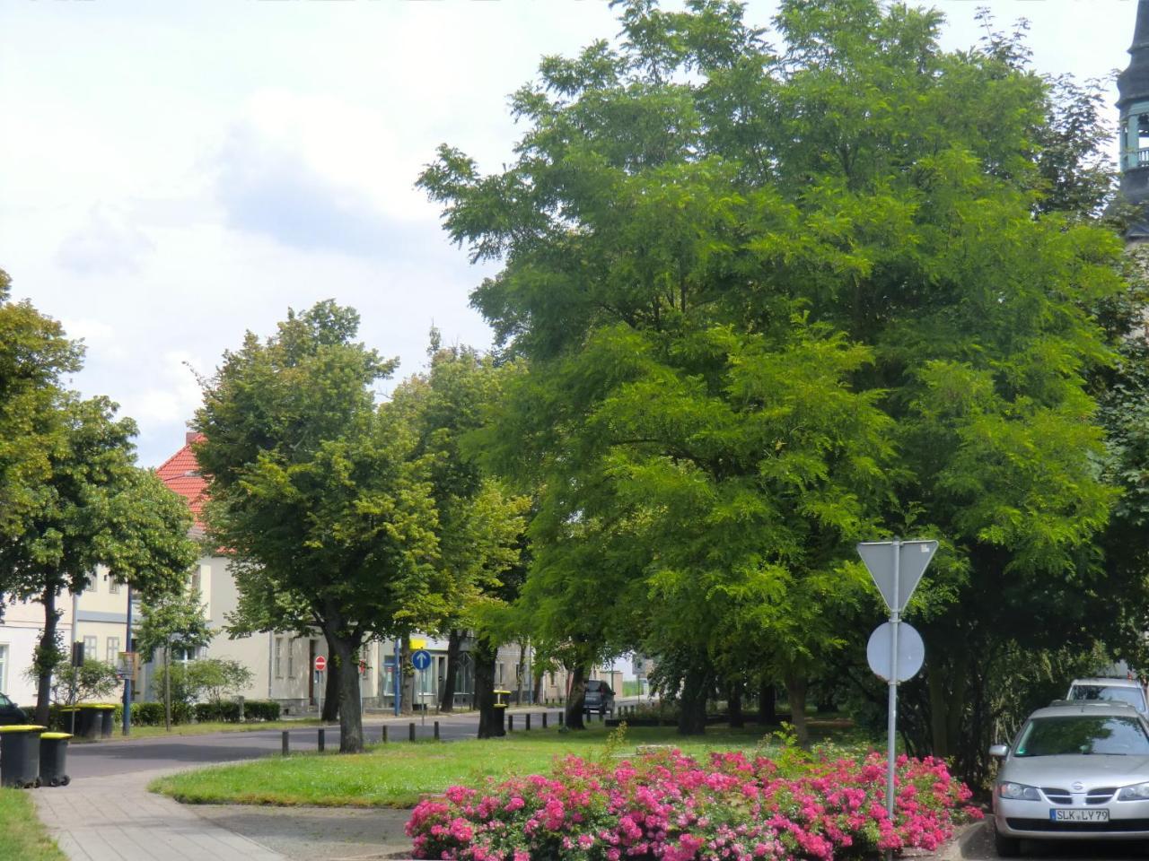 Ferienwohnung Rosenflair Schönebeck Esterno foto