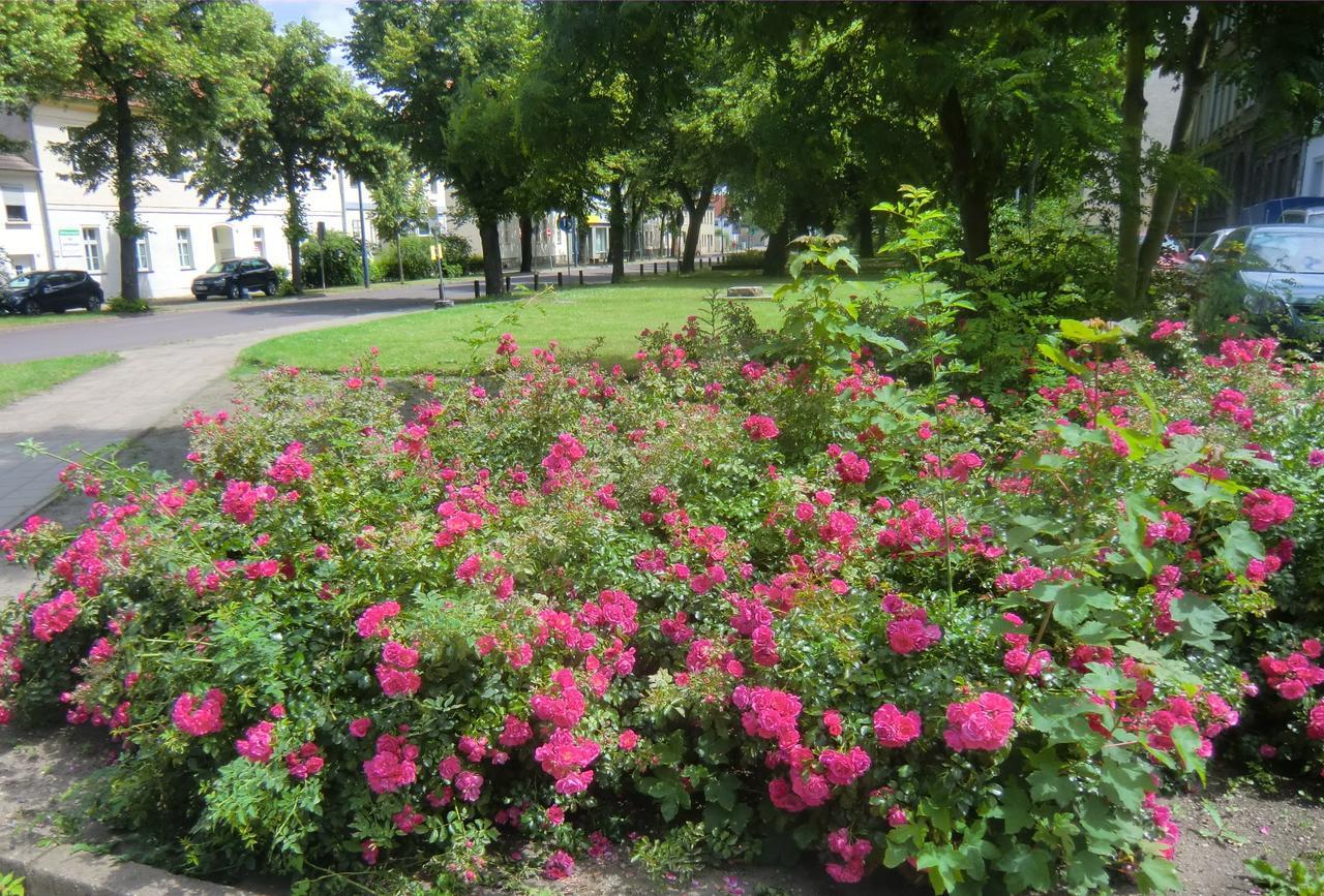Ferienwohnung Rosenflair Schönebeck Esterno foto